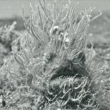 Kastil & I-real - Voodoo