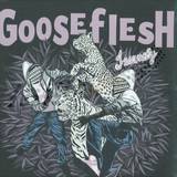 Gooseflesh - Insanely Ep