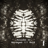 Projekt 22 - Haruspex / Void