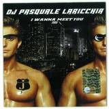 Dj Pasquale Laricchia - I Wanna Meet You *mcd*