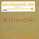 Behrouz - What Do We In Life Echoes