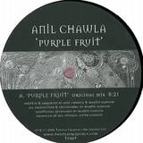 Anil Chawla - Purple Fruit