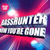 Basshunter - Now You're Gone