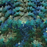 IzangoMa - Ngo Ma LP 2x12"
