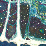 Max Loderbauer - Petrichor LP