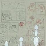 Skwyz - Fenek Black Edition