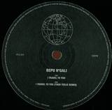 Bepu N'gali - I Travel To You