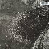 Wanda Group - Piss Fell Out Like Sunlight