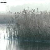 Dreher & Sm.art - Brust Oder Keule, Herr Oberför