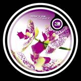 Rodriguez Jr. - Lila's Ep