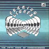 Peaking Lights - The Fifth State Of Consciousness
