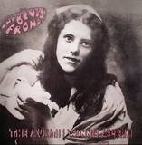 The Bevis Frond - The Auntie Winnie Album
