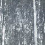 TAKAMASA TOMAE I Extracted A Phenomenon - Flowing In Part Of A Certain  Forest And Recorded It Here