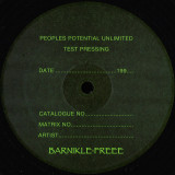Barnikle-Freee - Koincidence