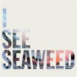 THE DRONES - I SEE SEAWEED LP 2x12"