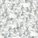 Shahrokh Dini - Compost Black Label 116