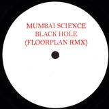 Mumbai Science - Black Hole (floorplan Remix)