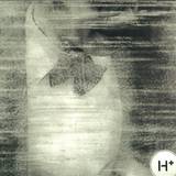 Hamid - Hpls 001
