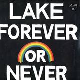 Lake - Forever Or Never