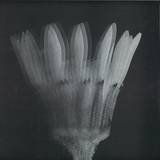 Brandon Vare - Powerline Ep