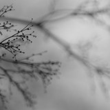 Dakota Suite, Dag Rosenqvist & Emanuele Errante - What Matters Most