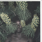 Cressida - Borneo Function