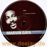 Marvin Gaye - The House Mixes 2x12"