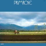 HIROMASA SUZUKI - PRIMROSE LP