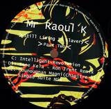 Mr Raoul K - *2* Still Living In Slavery Part