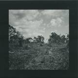 Bookworms - Compact Visual Nature