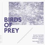 Birds Of Prey - Birds Of Prey