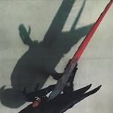 Ninos Du Brasil - Para Araras