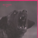 Recondite - Iffy 2x12"