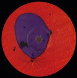 Jesse Futerman - You Are Never Alone