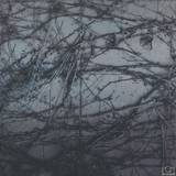 Human Rays - A Tension