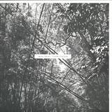 Andrew Pekler - Tristes Tropiques