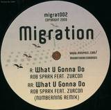 Rob Sparx Feat. Zurcon - What U Gonna Do