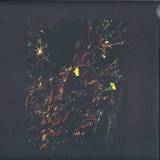 Dark Sky - The Passenger / The Walker (roman Flügel Remix)