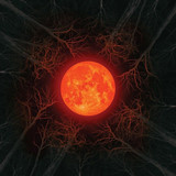 Hunters Moon - All of them Witches