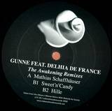 Gunne Feat. Delhia De France - The Awakening Remixes