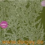 Ricardo Villalobos - Alcachofa 3x12"