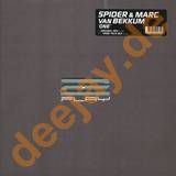 Spider Vs. Mark Van Bekkum - One