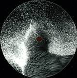 Brendon Moeller - Elixier Ep