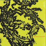 Arash Moori - Exothermic