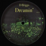 D Briggs - Dreamin'