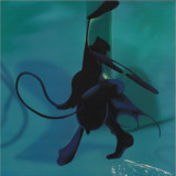 Sami El-Enany & Dampé - Opix