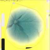 HYDRANGEA - Holly Childs & Gediminas Žygus