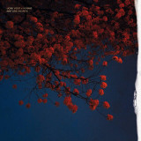 Joni Void + N NAO - Nature Morte