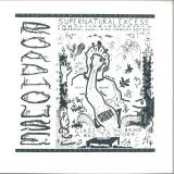 Roadhouse - Supernatural XS