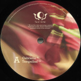 GIGI FM - MOVIMIENTO